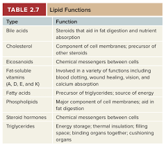 They play a key role in maintaining membrane fluidity alongside saturated and. What Are The Main Biological Functions Of Lipids Quora