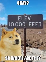 Pin By Gabriel On Memes Doge Really Stupid Jokes Stupid Funny Memes Funny Memes