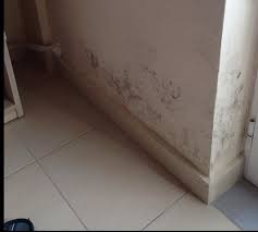 Mold in the house isn't just a problem for people with allergies or asthma. Mouldy Bedroom Walls Does One Know That Mould Damp Can Cause Lung Cancer Health Hazard Hotel Picture Of Ionion Blue Hotel Zakynthos Tripadvisor