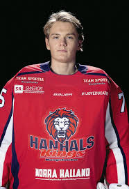 Ishockeyelmer söderblom, 19, charmade en hel hockeyvärld med två drömmål i jvm. Kungsbacka Posten Arvids Storspel Har Vackt Liv I Hanhals