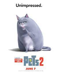 Cats (cats, 2019) é o mais novo homenageado no nosso rol do desprestígio. Thesecretlifeofpets Petsmovie Twitter Desenhos De Bonecas Tumblr Netflix Filmes E Series Desenhos Bonitos