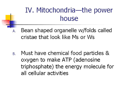 Nov 02, 2013 · the ribosomes in a cell are like the kitchen in a house. Plant And Animal Cell Structures Objective 2 0