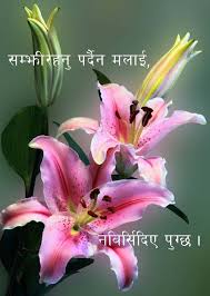 Pin On Nepali Status