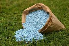 Image result for how long after a lawn treatment to water