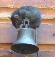 Maxmoxie ultrasonic pest repellent offers an ultimate peace because it's safe for both your pets and children. The Best Ultrasonic Pest Repellers Lawn Mower Wizard