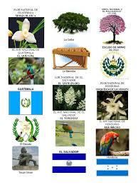 Los símbolos nacionales mayores son: Simbolos Patrios De Centroamerica Flor Nacional De