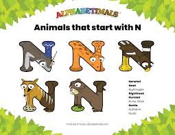Animals that start with N - Lists & Examples | Animal Dictionary