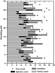 Image result for Aneulophus africanus