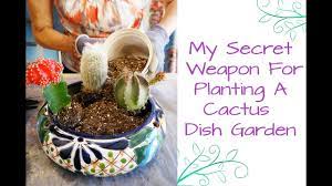 How to plant a cactus dish garden. My Secret Weapon For Planting A Cactus Dish Garden Youtube
