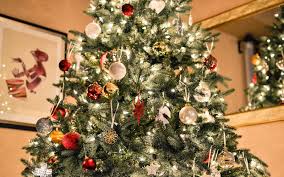 Christmas decor of new jersey is suited to design and install your business' real estate and entire acreage with bright and large holiday decorations. Buy Christmas Trees Wreaths Jersey City Jcfamilies