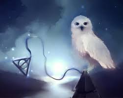 Harry Potter Wallpaper Background The most common harry potter wallpaper material is fabric. harry potter wallpaper background