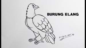 Maybe you would like to learn more about one of these? Halaman Download Cara Menggambar Burung Elang How To Draw Eagle Animals Step