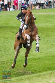 Oliver townend's age is 38 years previous, and he was born in 1982. Pin By Alissa Richardson On Horses Eventing Horses Sport Horse Eventing Cross Country