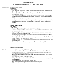 Sample resume for sales executive fresher pdf. Sales Coordinator Resume Samples Velvet Jobs