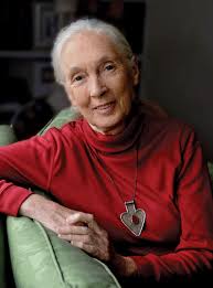 RIP, Jane Goodall. Your life is an inspiration and blessing to ours...