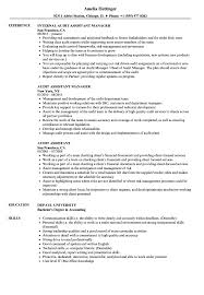 audit assistant resume samples velvet