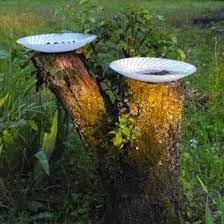 Wing It 14 Approaches To A Diy Birdbath Bird Bath Creative Gardening Tree Stump