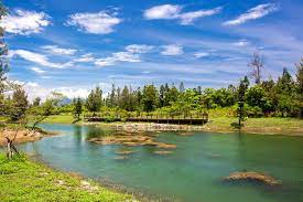 台大醫院附近飯店 西門附近飯店 小南門附近飯店 東門附近飯店 萬華火車站附近飯店 龍山寺附近飯店 江子翠附近飯店 古亭附近飯店 大安森林公園附. è‡ºæ±æ£®æž—å…¬åœ' å°æ±è§€å…‰æ—…éŠç¶²