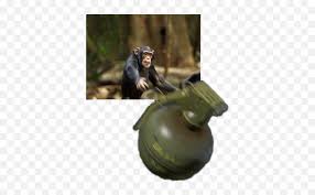 Free fire is the ultimate survival shooter game available on mobile. Pixilart Harambe S Uploaded By Snocthehedge Discord Monkey Throwing Grenade Png Transparent Harambe Free Transparent Png Images Pngaaa Com