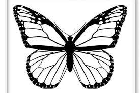 Mariposas Para Colorear 100 Disenos Para Pintar Y Darles Vida Mariposas Para Colorear Dibujos De Mariposas Como Dibujar Mariposas
