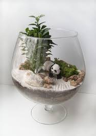 Panda Miniature Garden Open Terrarium Open Terrariums Succulent Terrarium Miniature Garden