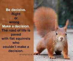 A few quotable superstars hold a big share of the top quotes. Squirrel Quotes Tumblr Best Of Forever Quotes