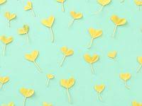  49 Ide Tosca Hijau Hijau Mint Wallpaper Bunga Iphone