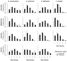 Image result for Andropogon canaliculatus