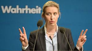She's angry about germany's bailouts for greece. Weidel Halt Debatte Uber Afd Spendenaffare Fur Ziemliches Theater