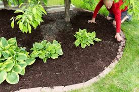 I have access to a bobcat, labor and. How To Fix A Muddy Yard Here Are Several Effective Ways Epic Home Ideas