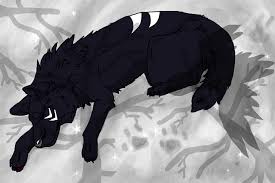Anime black and white wolf wallpaper is free hd wallpaper. Images For White Anime Wolves In Love Anime Wolf Wolf Love Anime