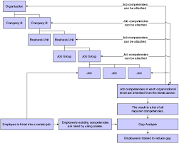 Organizational Structure Flow Charts