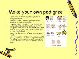 making a pedigree chart quick review genotype what genes