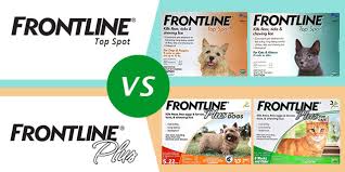 Frontline Top Spot Vs Frontline Plus Canadavetexpress