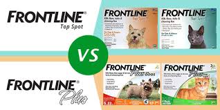 Frontline Top Spot Vs Frontline Plus Canadavetexpress