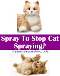8 Calm Clever Tips Cat Spraying My Bed Cat Spray Solution Keeping Cats Out Of Yard Spray Cat Spraying Pee Youtbe Davids Miconazle Spray Cat En 2020 Aerosol
