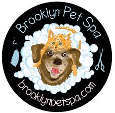 Using her passion for helping animals in need, cindy quit the life of the corporate world and created furry friends gentle pet grooming. Brooklyn Pet Spa Ny Professional Pet Grooming Pampering Services