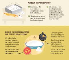 I'm afraid this is going to be of those . What Is Proofing Bob S Red Mill Blog