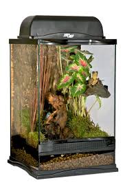 Naturalistic Terrariums Zoo Med Terrarium Terrariums Kits