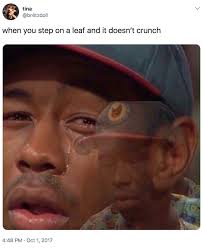 'fortnite' creator says it won't punish players for speaking out about politics, as blizzard faces backlash and calls for a boycott after banning. 19 Hilarious Memes That Anyone Who S Ready For Fall Will Relate To Tyler The Creator Reactions Meme Meme Faces