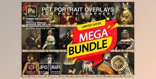 We did not find results for: Download Mega Bundle Royal Pet Portrait Templates By 2suns