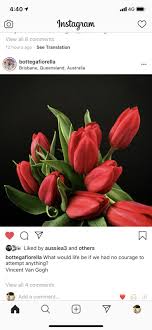 Pin By Michelle On Words Thoughts In 2020 Instagram Vincent Van Gogh Plants