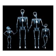 Poster X Ray Skeleton Family Black Blue Zazzle Com In 2020 Xray Art X Ray Poster
