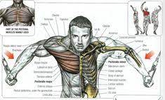 • 66 млн просмотров 5 лет назад. 21 Chest Workout Ideas Chest Workout Exercise Images Workout