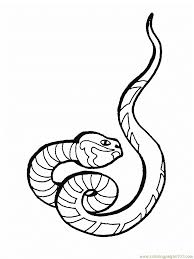 Sea animals coloring pages for kids. Snake Viper Coloring Page For Kids Free Snake Printable Coloring Pages Online For Kids Coloringpages101 Com Coloring Pages For Kids