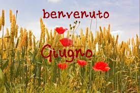 Puoi cercare di cambiare il carattere di tuo marito? Giugno Benvenuto Il Magico Mondo Dei Sogni