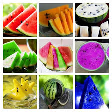 Colorful Watermelon Fruit Seeds Fruit Seeds Seeds Watermelon