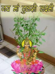 Pin On Maa