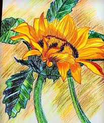 Lukisan tangan bunga matahari dari cat minyak dengan material dasar canvas be the first to review lukisan bunga matahari cancel reply. Pin Di Lukisan Bunga Matahari