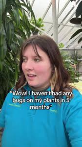 Sneaky lil bugs will ruin a plant :(